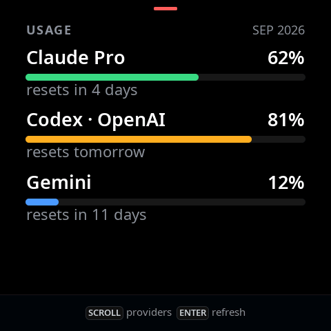 The Usage face: provider bars with percentages and reset countdowns